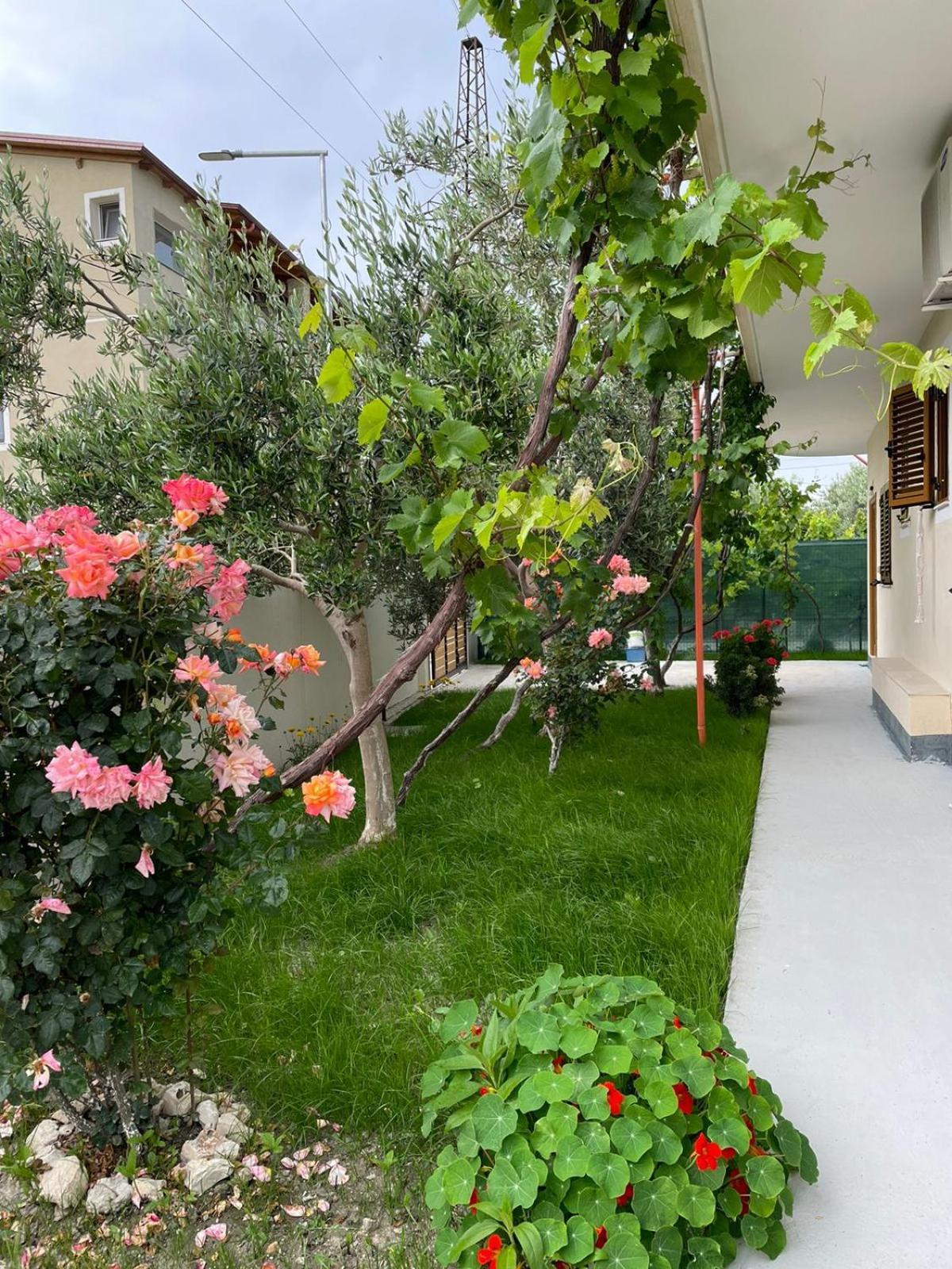 Blossom Apartments Vlorë Esterno foto